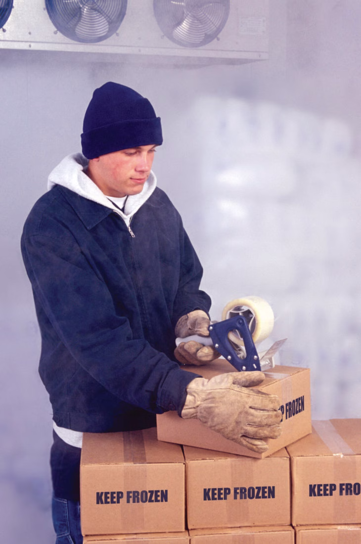 Cold Temperature Packaging