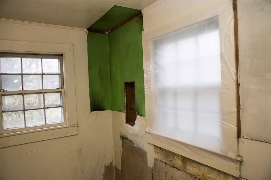 abatement tape for mold remediation