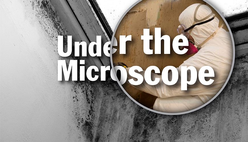 Under the Microscope - how do containment systems prevent mold borne illness