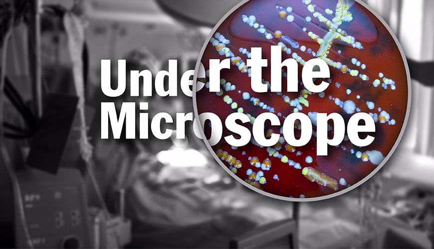 Under the Microscope how do containment systems prevent the spread of bacteria and viruses